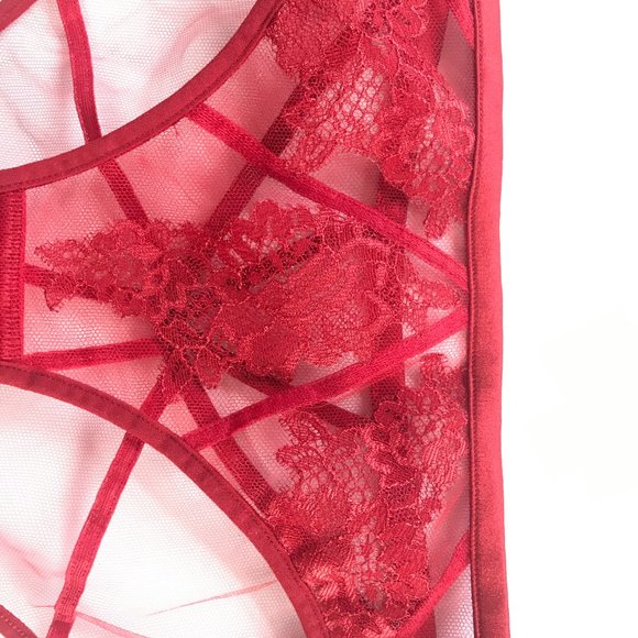 Agent Provocateur DEMELZA BRIEF - BNWT - Picture 5 of 5